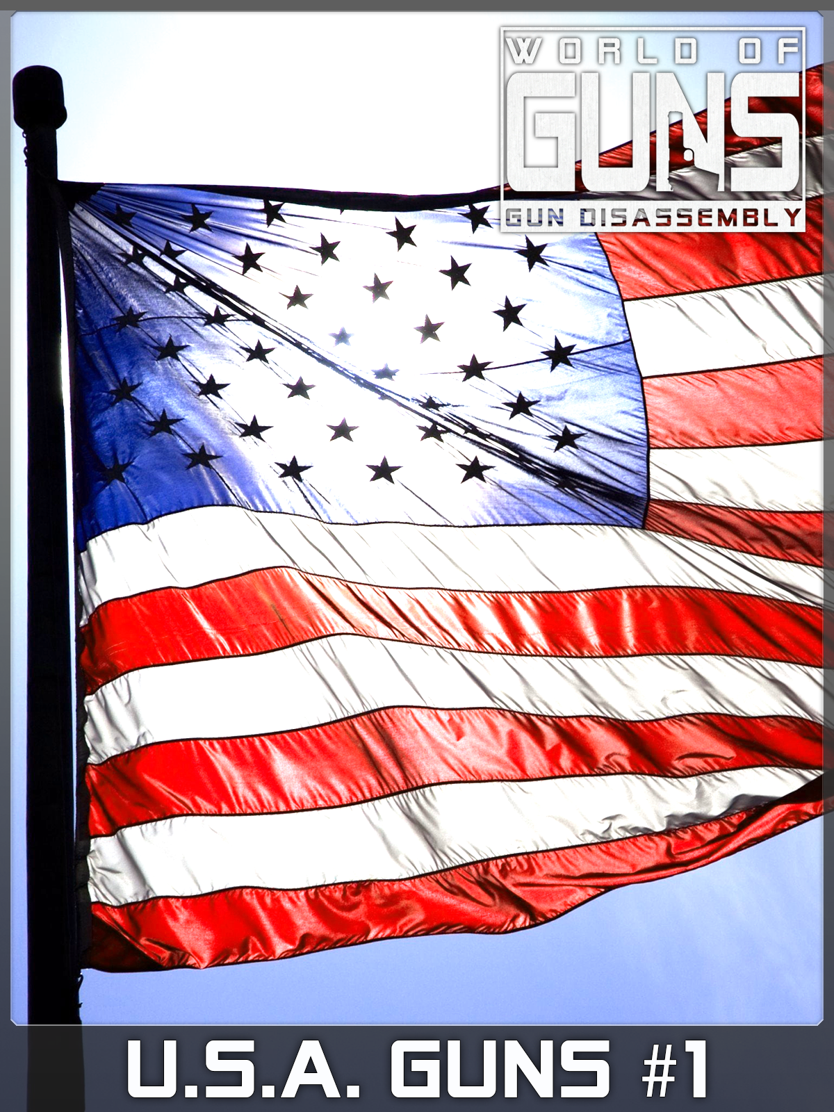 U.S.A. Guns Pack #1