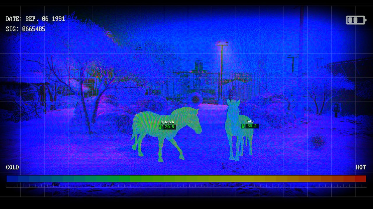 Carousel slide 7