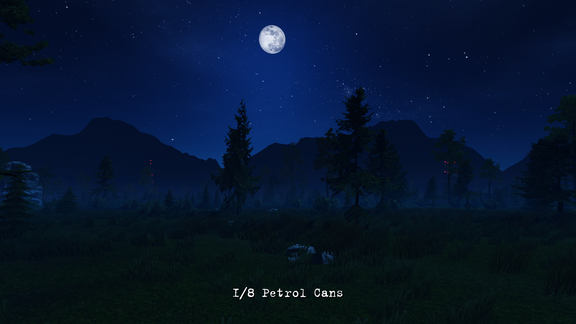 Haunted Forest-1pj3q