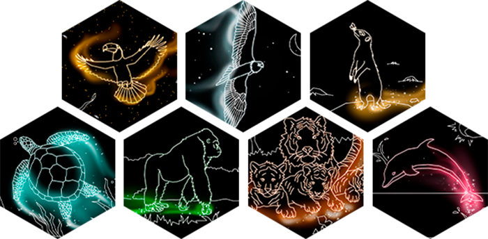 Hidden Shapes Animals-1fqhr