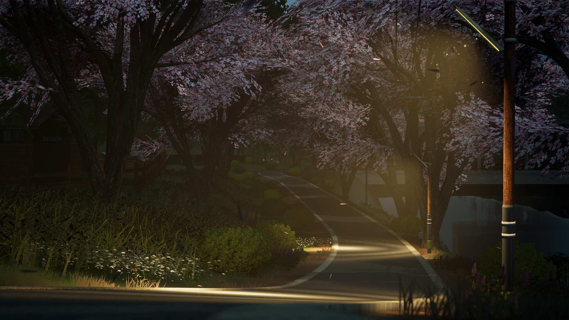 SunnySide-281sh