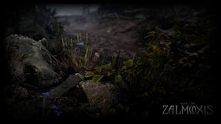 Age of Zalmoxis - Rise of the Fallen screenshot 1