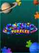 Cosmic Puzzles