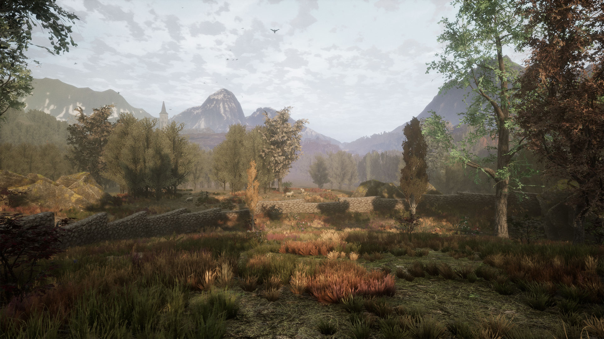 The Dead Tree of Ranchiuna-18gb4