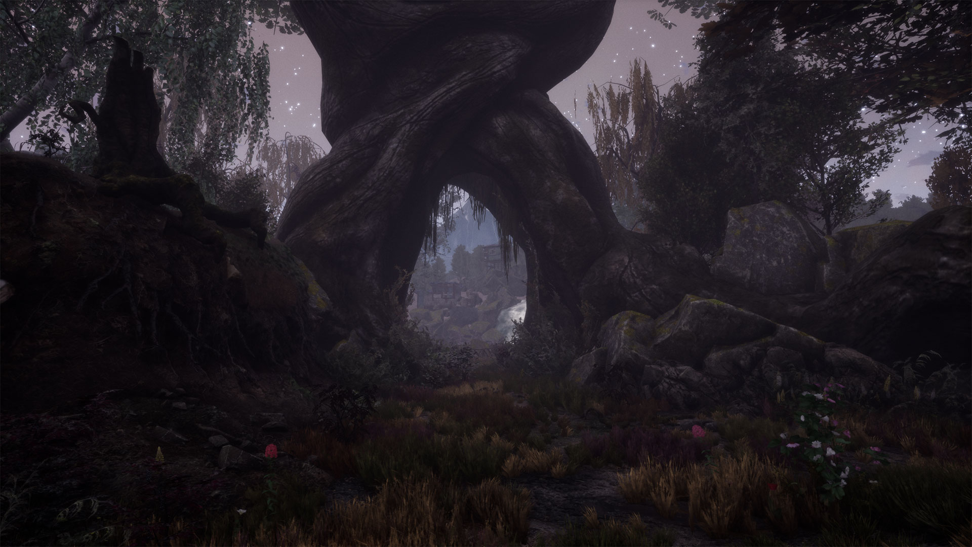 The Dead Tree of Ranchiuna-1blks