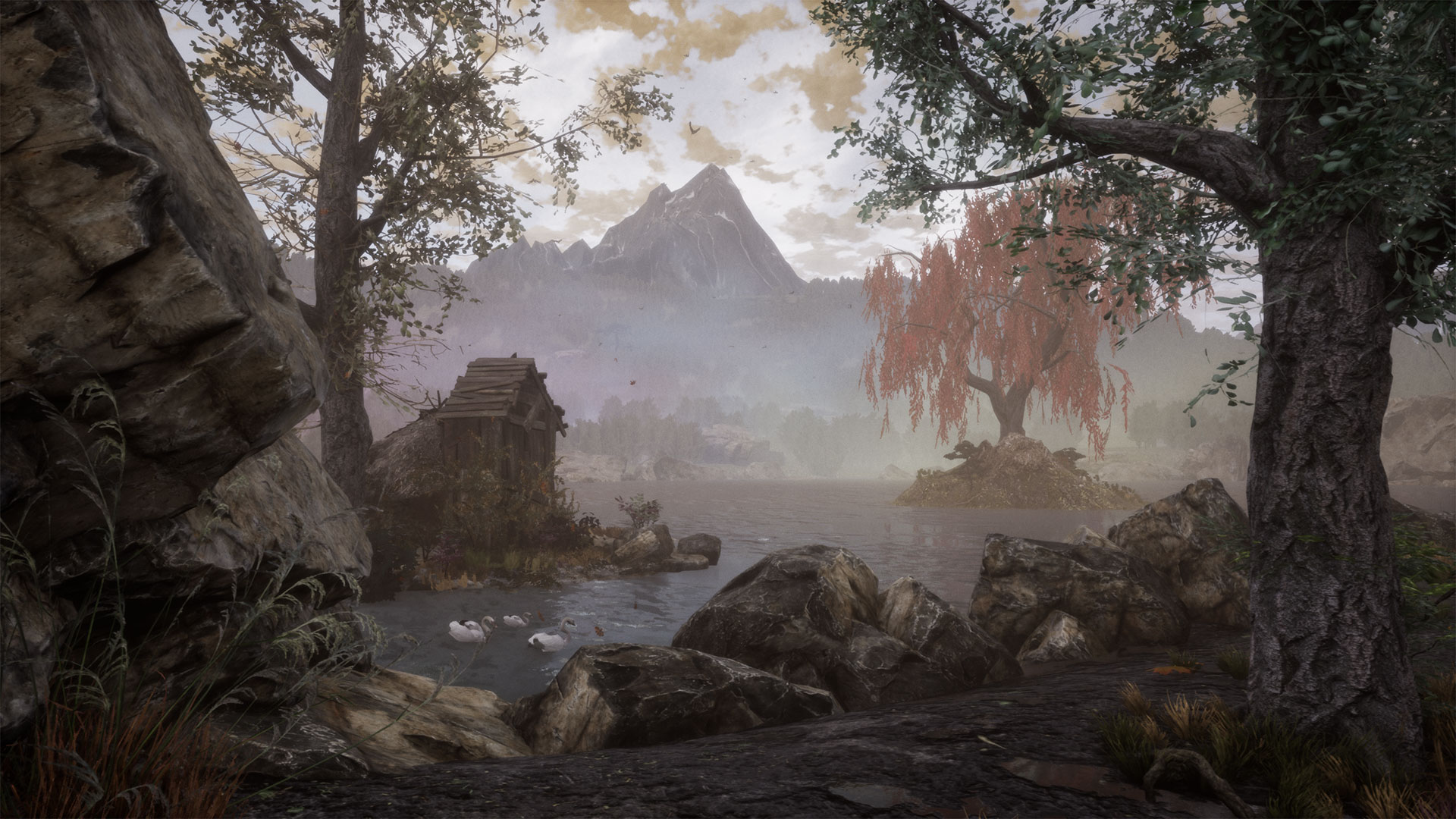 The Dead Tree of Ranchiuna-3vrjw