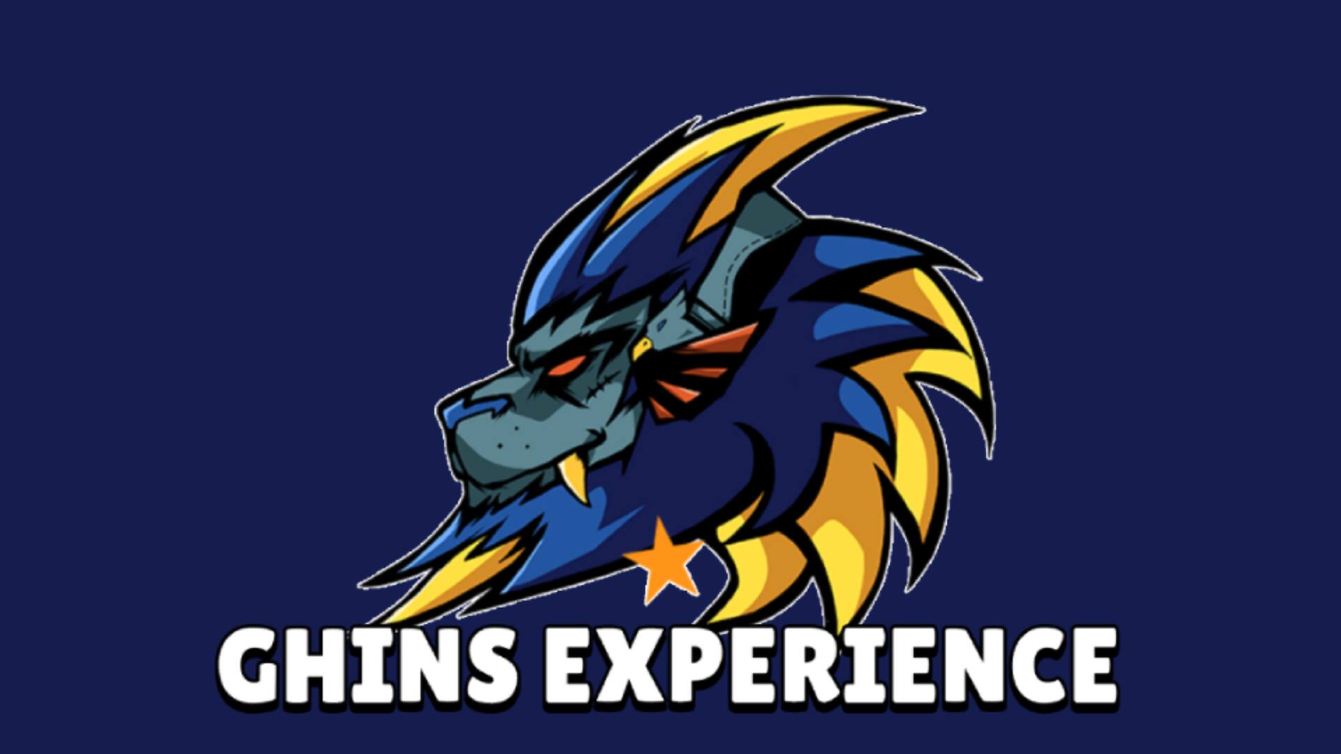 GHINS_Experience