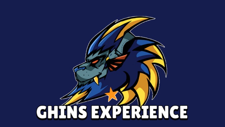 GHINS_Experience