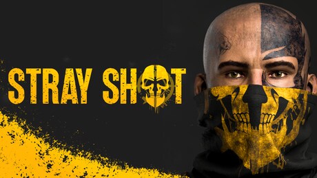 Купить ключ дешево StrayShot