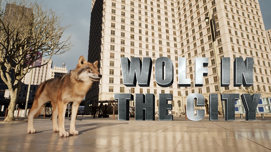 WOLF IN THE CITY