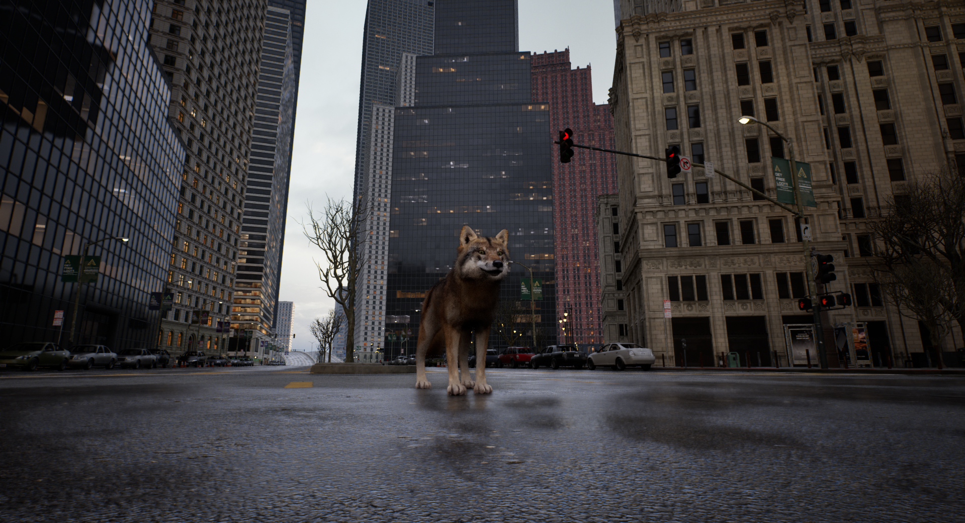 WOLF IN THE CITY-m3vue