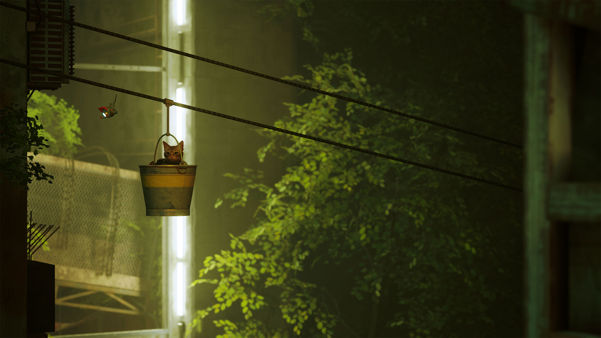 Stray - featuredMedia