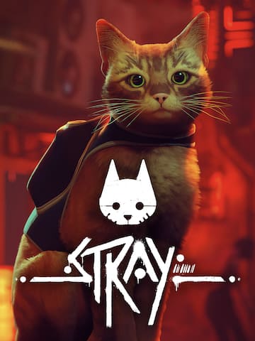Stray