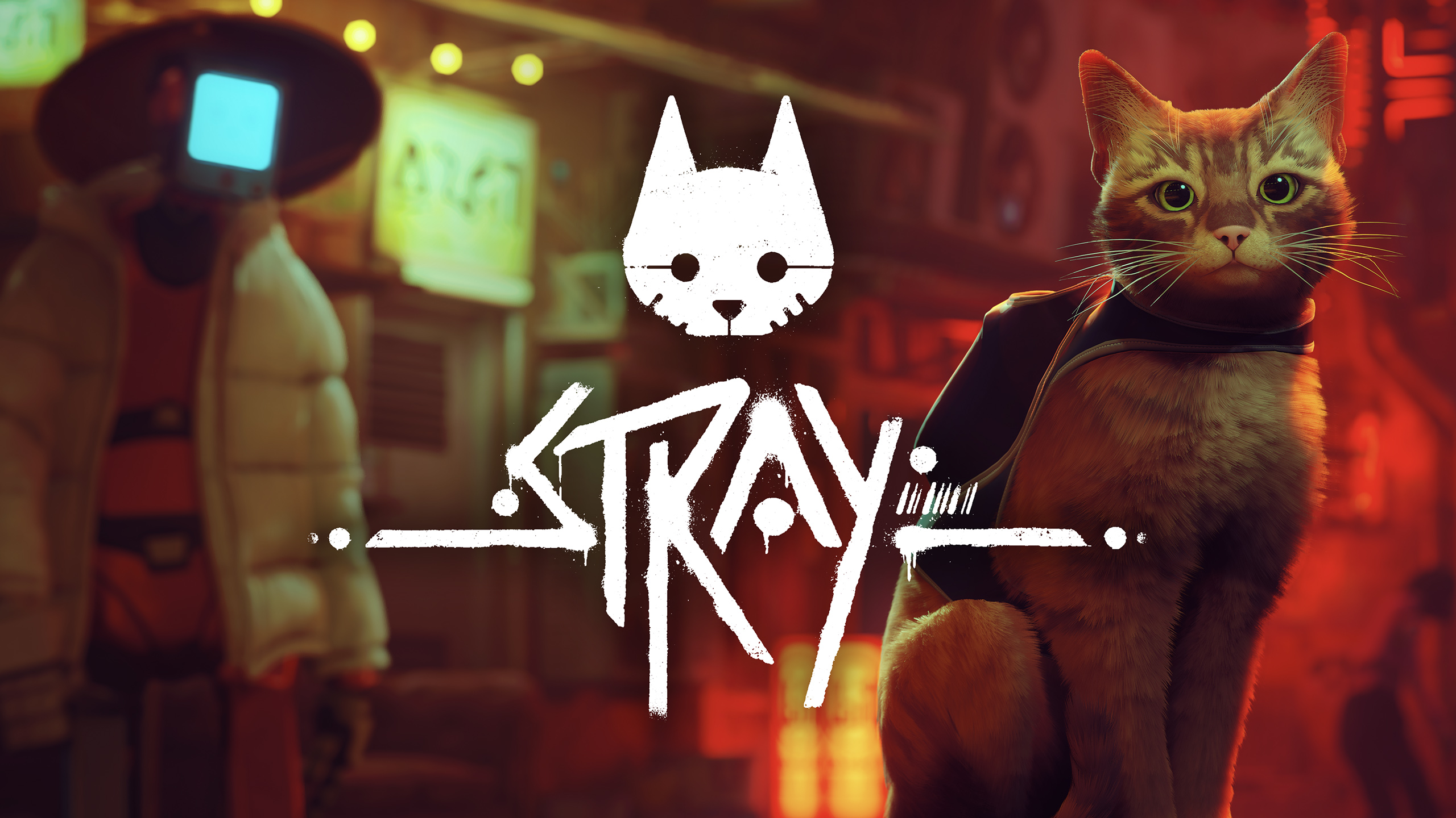 Stray - OfferImageWide