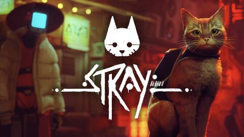 Stray