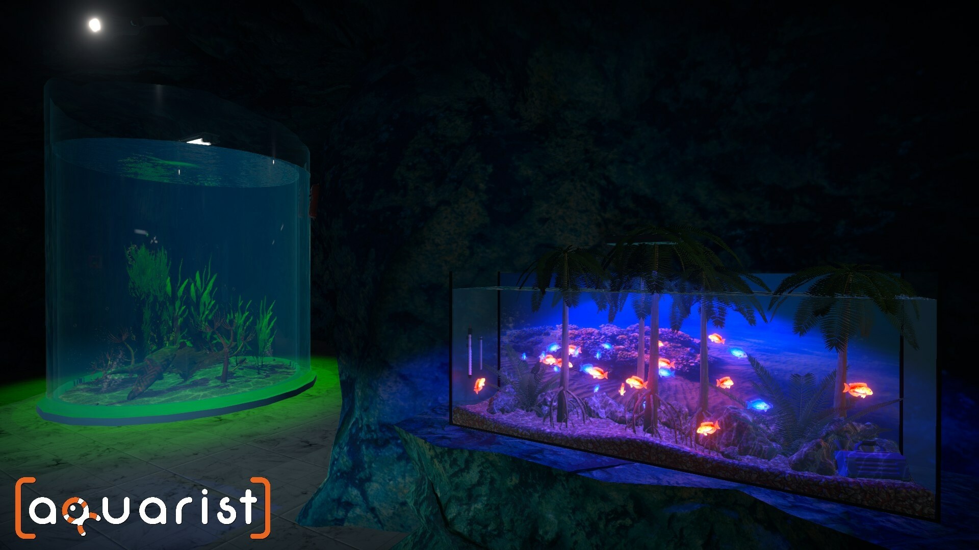 Aquarist-1fpwr