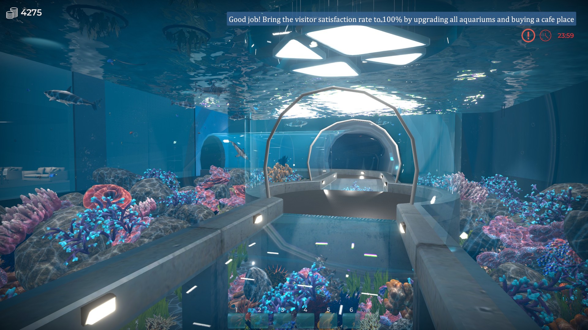 Aquarist-1gr79