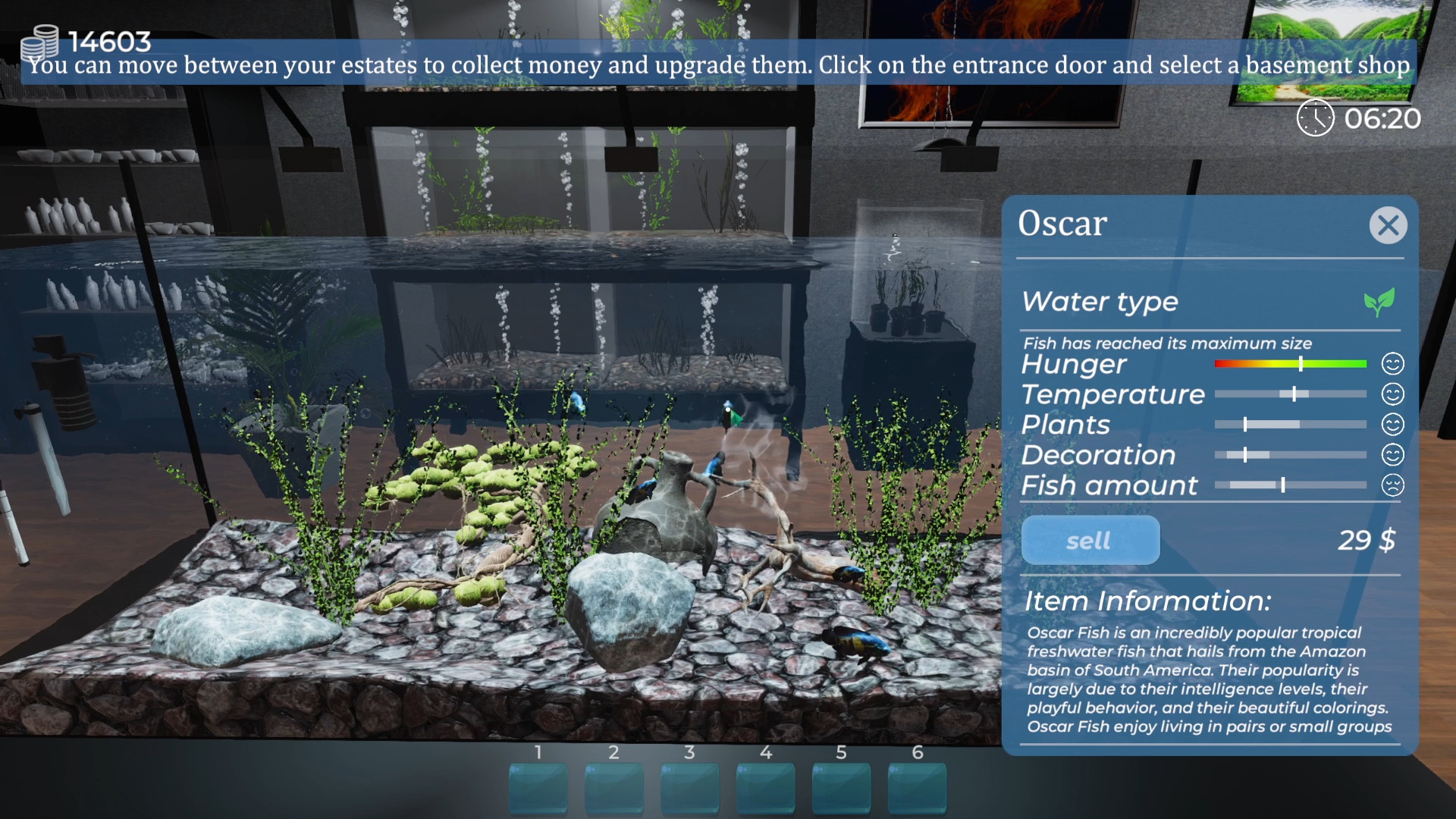 Aquarist-1w1py