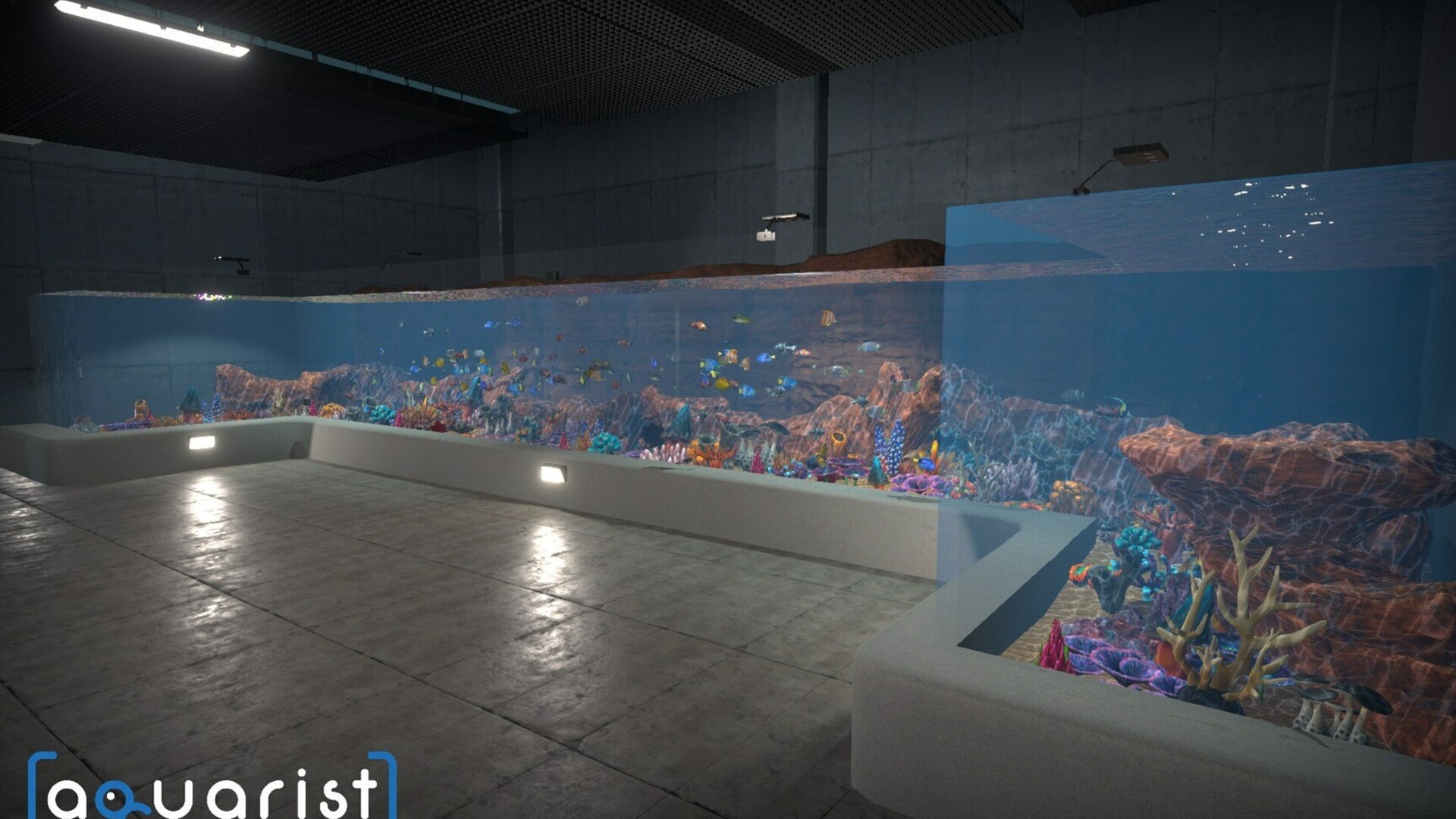 Aquarist-1wwuj