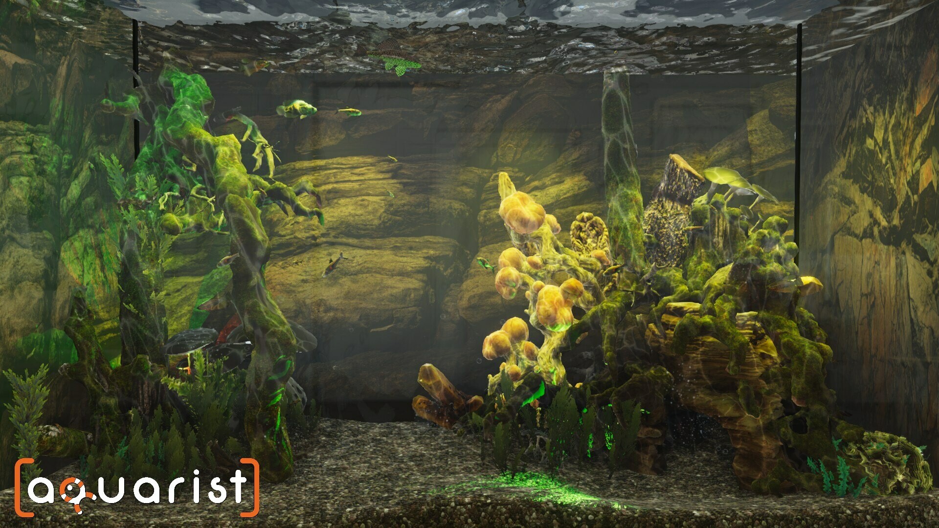 Aquarist-6b5hn