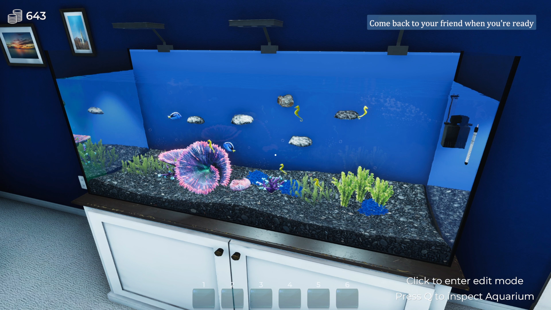 Aquarist-7w2pf