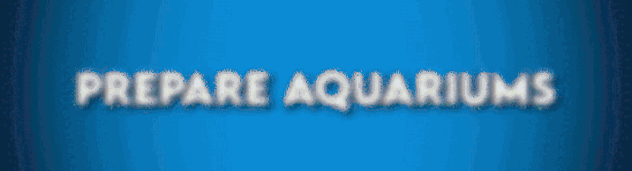 Aquarist-d5toi