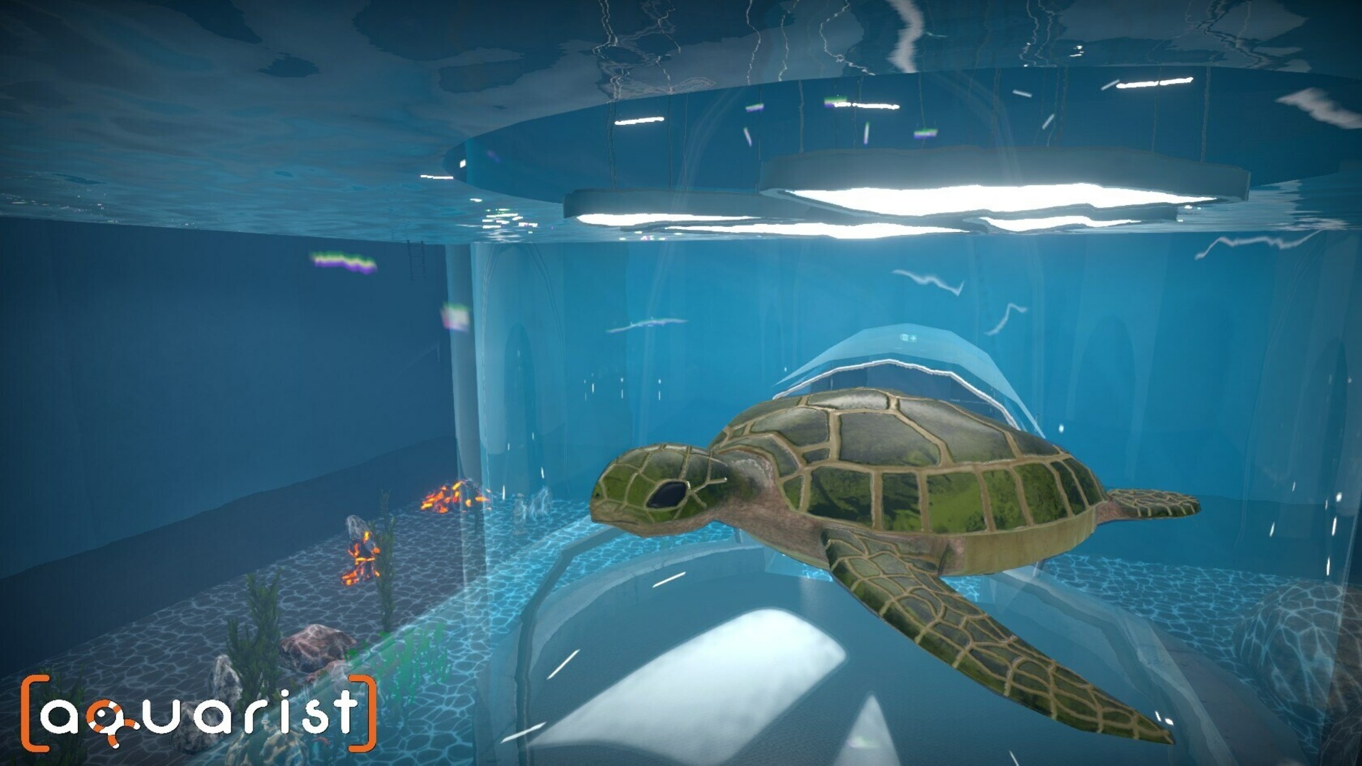 Aquarist-e1tr4
