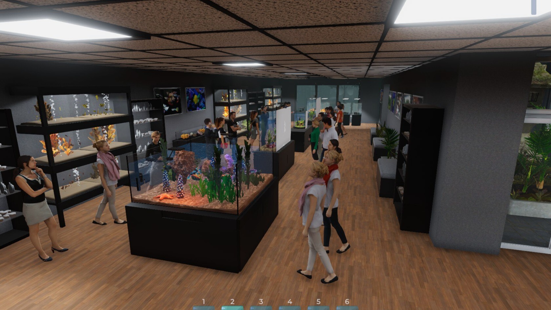 Aquarist-l37p3