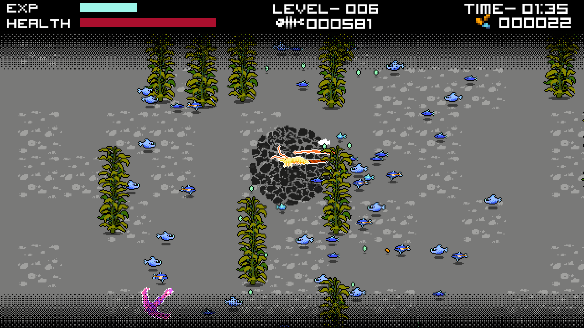 Shrimp.io-sewt1
