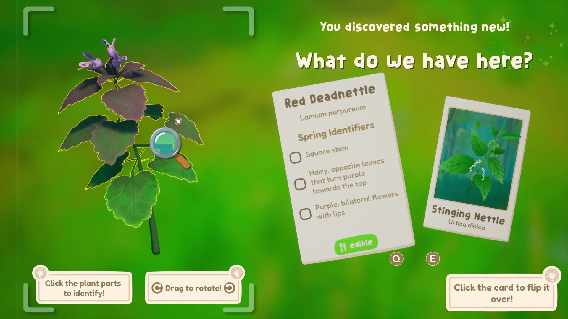 screenshot2