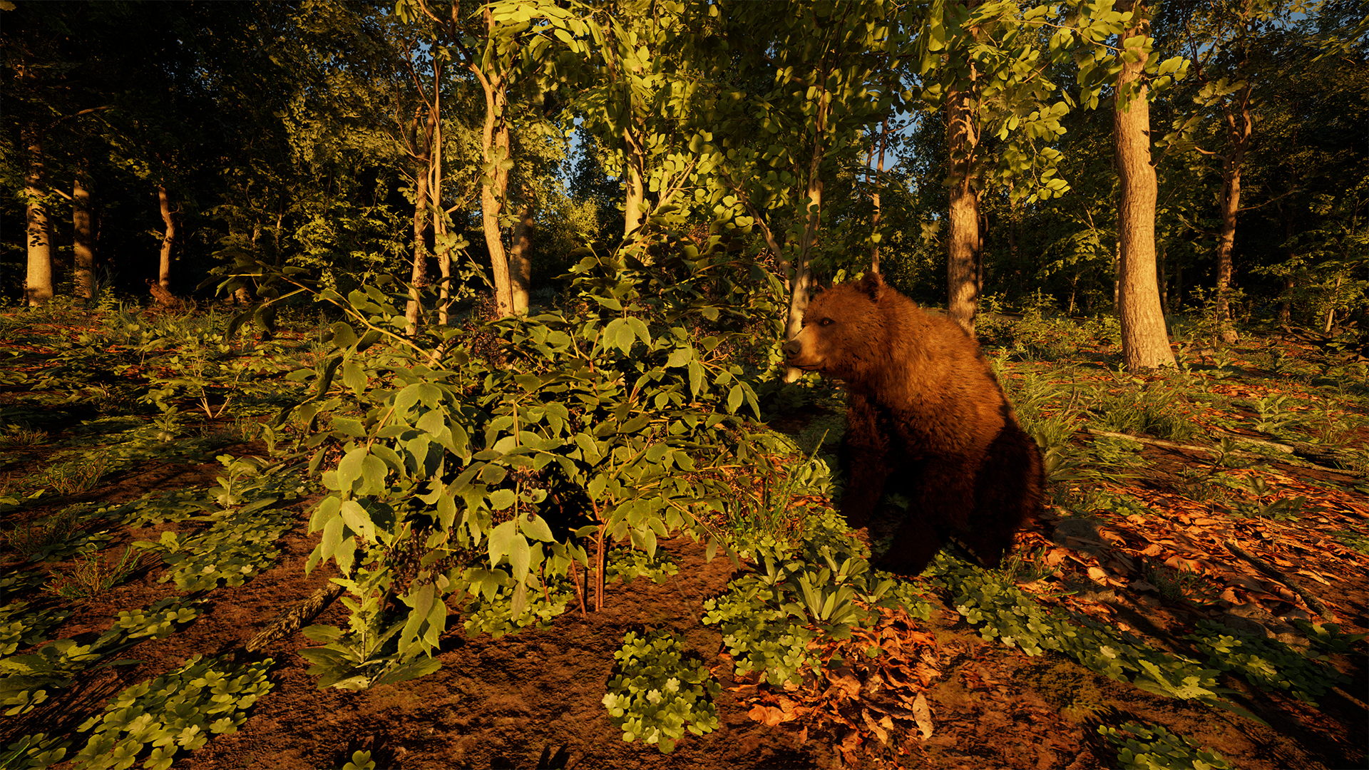 Carpathian Survival-4co1i