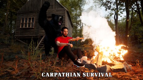 Купить ключ дешево Carpathian Survival