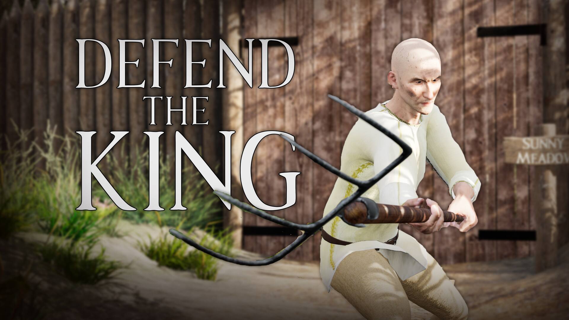 Defend The King