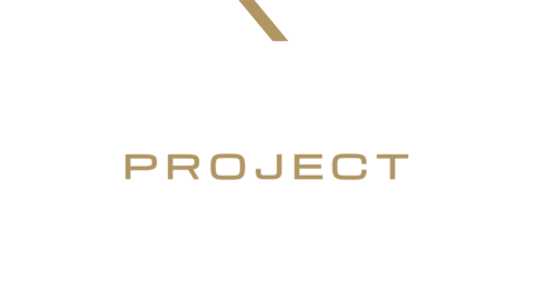 Project One Logo Racing Project Motor Racing | Download and Buy Today - Epic Games Store