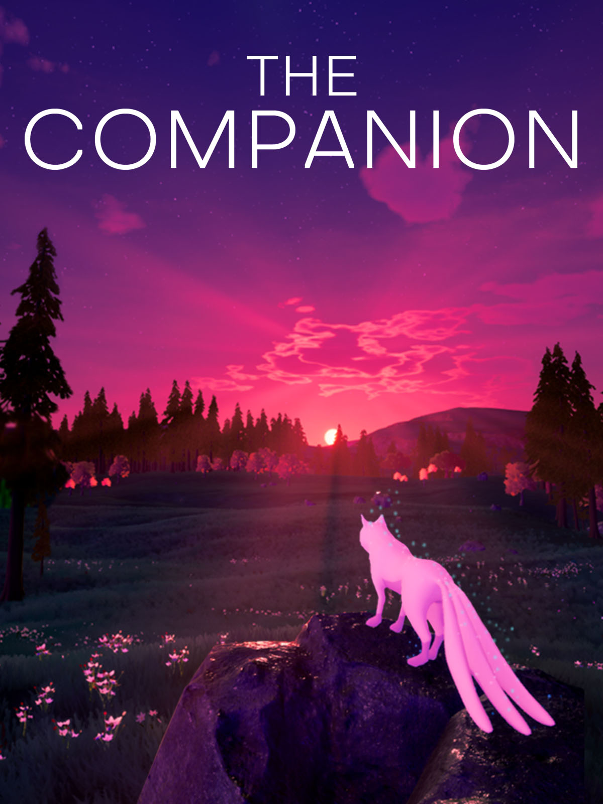The Companion
