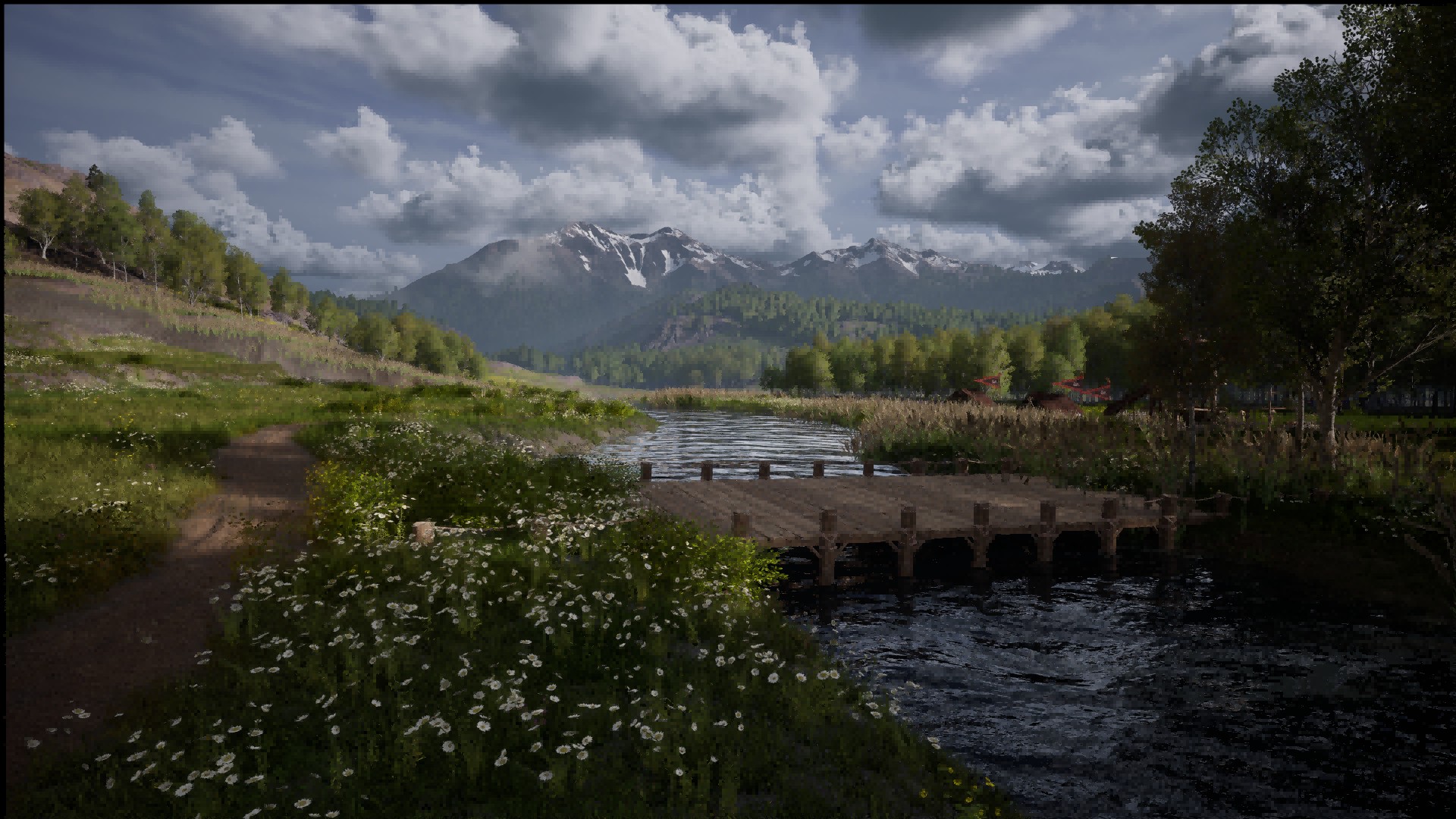 Full Size Image