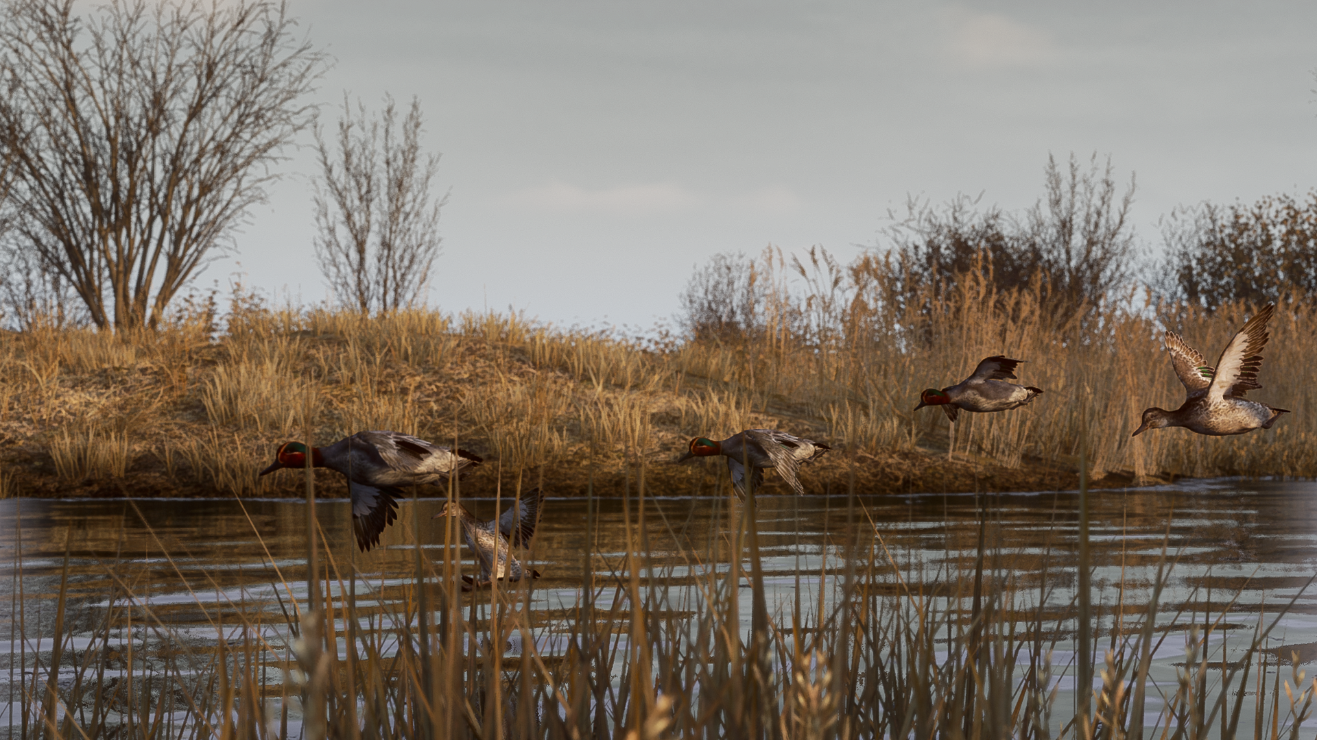 BULT: Hunting simulator-1ihkr