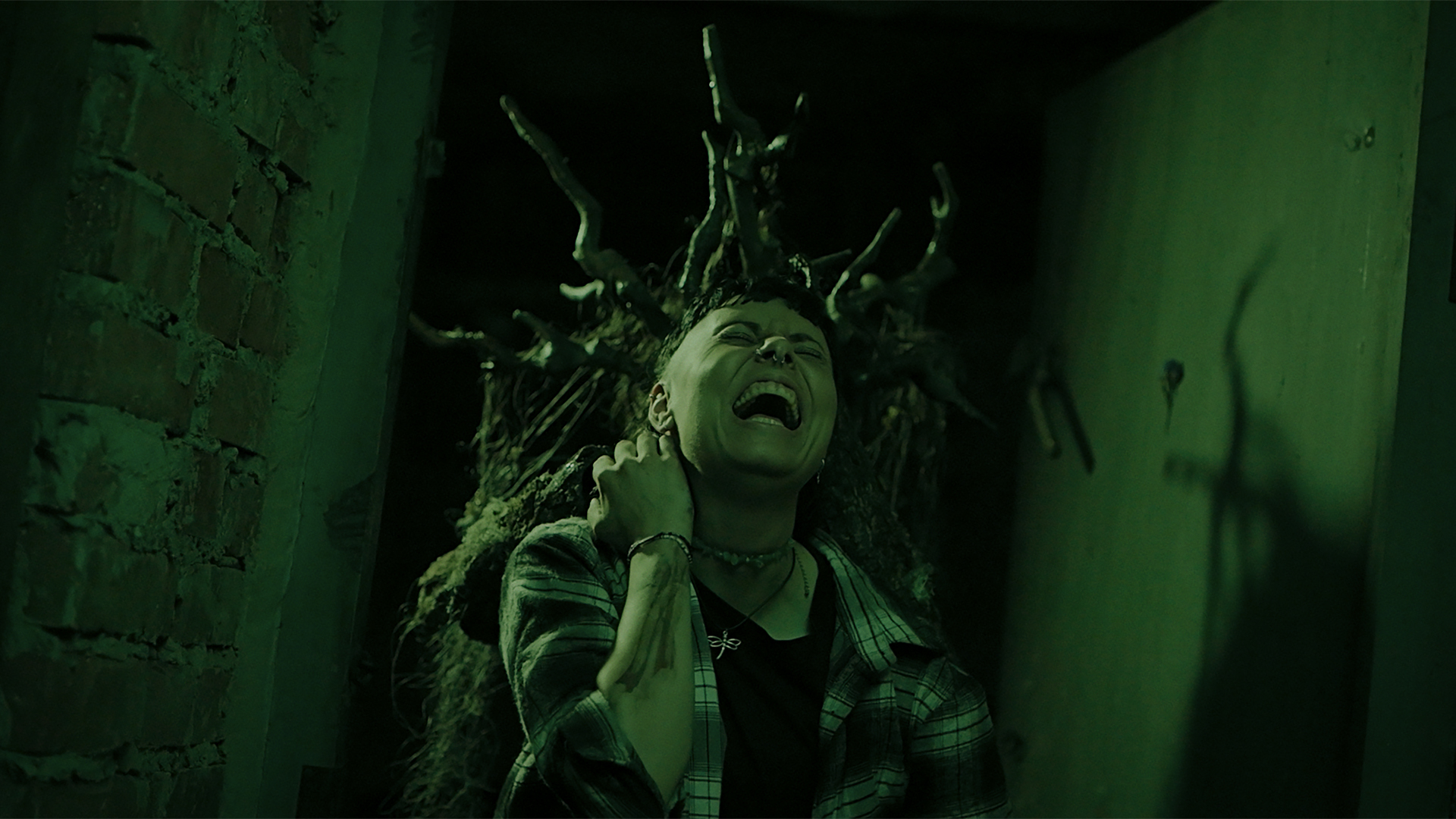 Heart of the Forest-1lbin