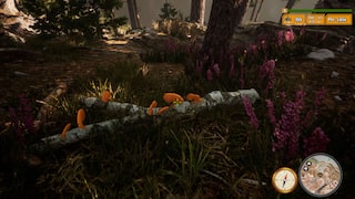 Morels The Hunt 2 screenshot 4