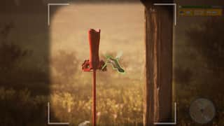Morels The Hunt 2 screenshot 2