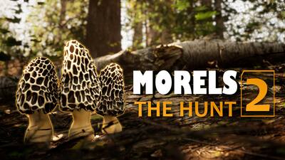 Morels The Hunt 2