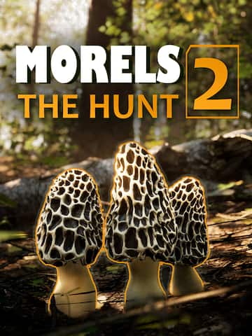 Morels The Hunt 2