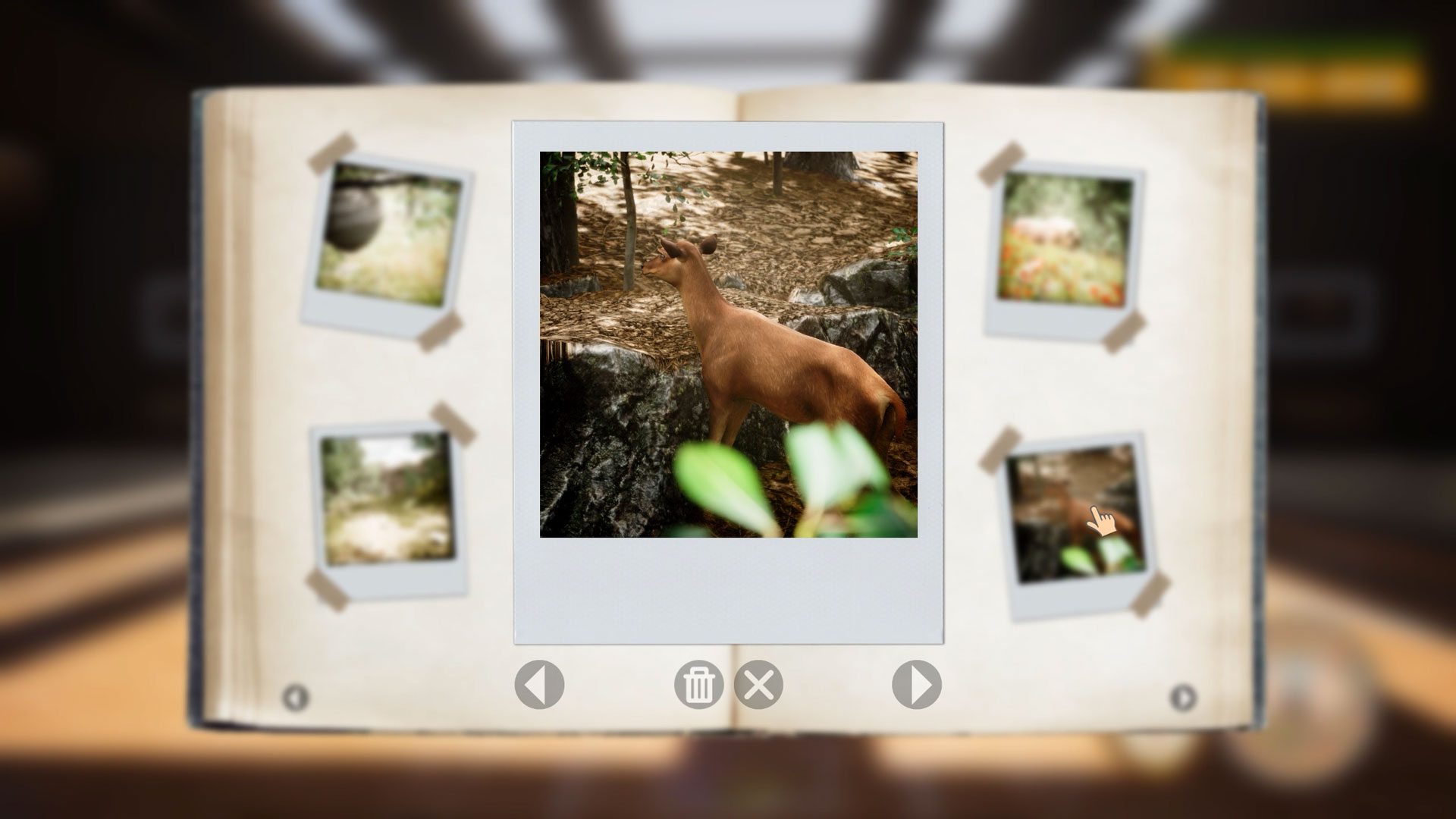 Morels The Hunt 2-5comr