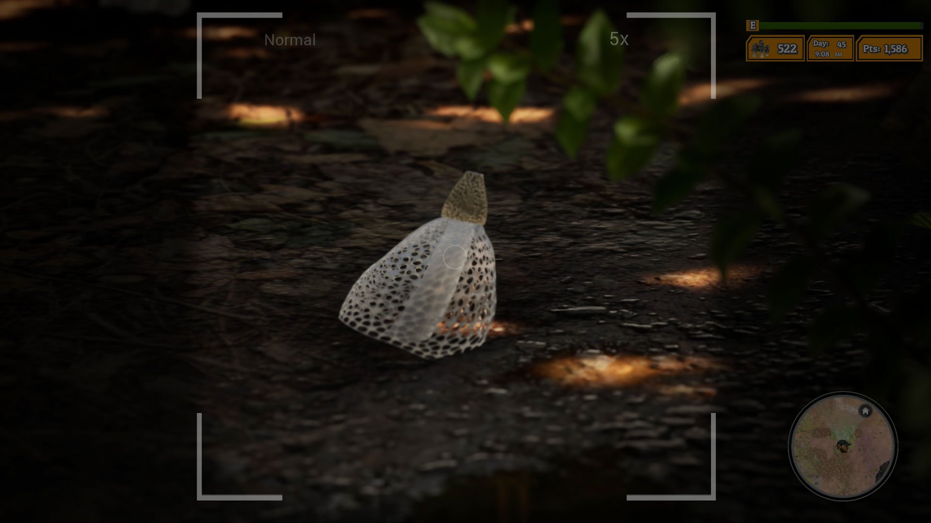 Morels The Hunt 2-nf8bx