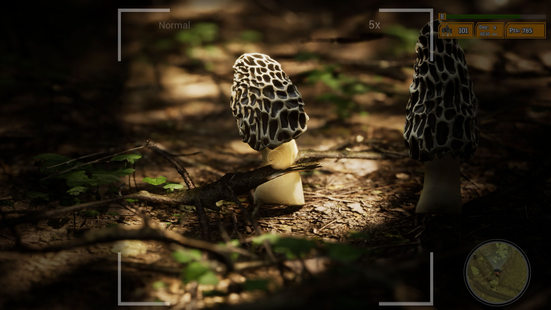 slide-thumbnail