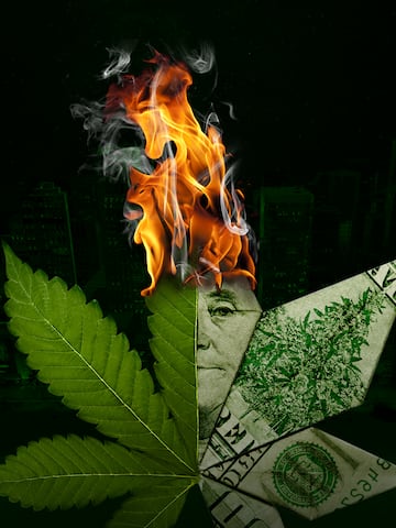 Weed Shop 3