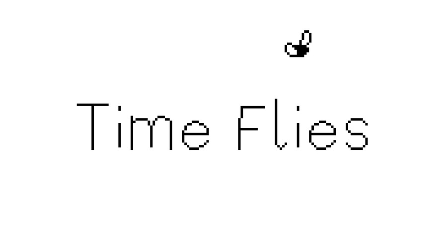 Time Flies