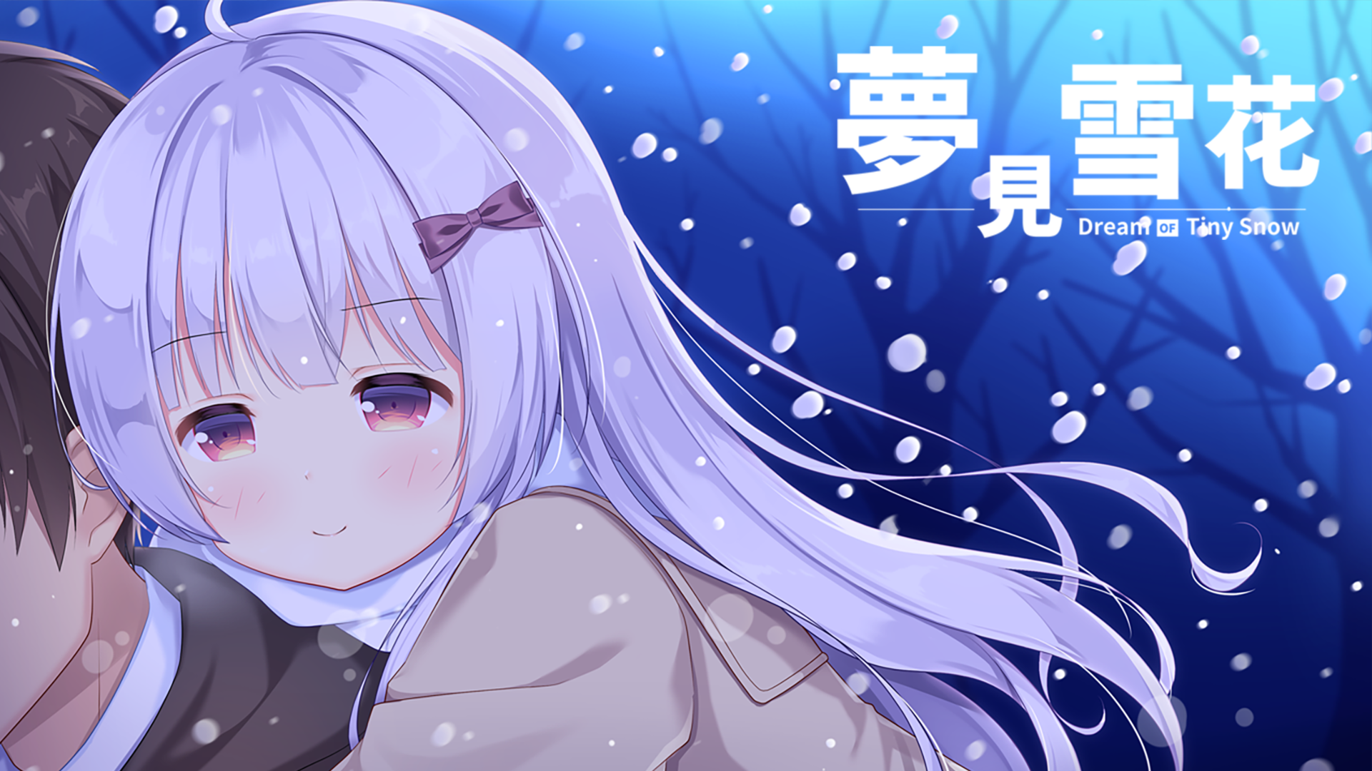 Dream of Tiny Snow