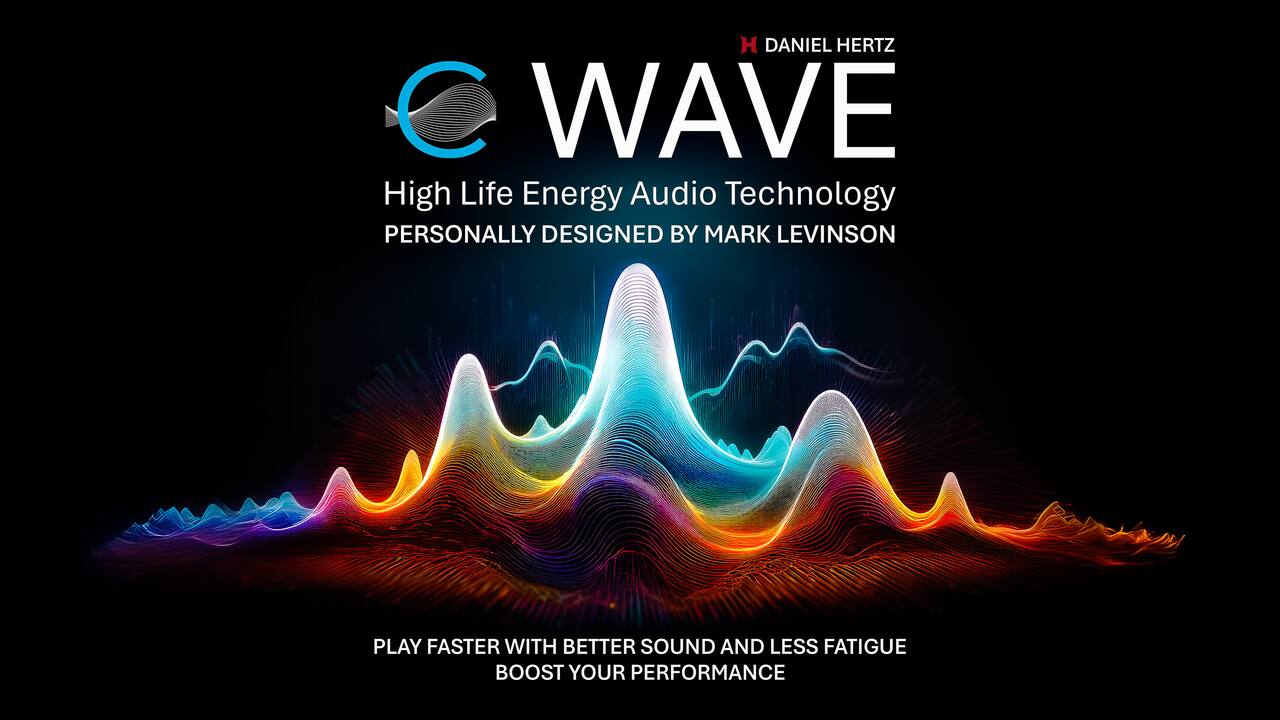 Daniel Hertz C Wave PC gameplay screenshot 1 of 1