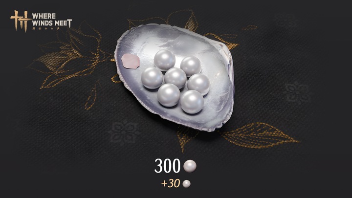300 Echo Beads
